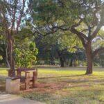 praça wi-fi gratuito bosque da paz