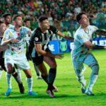 goias botafogo (1)