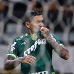 palmeiras dudu (1)