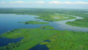 Pantanal