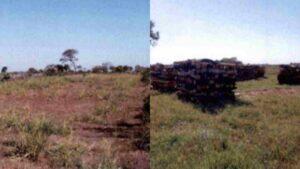 desmatamento fazenda pantanal