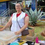 ambulantes desfile campo grande
