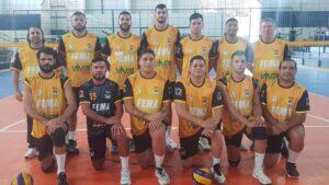 Liga MS de Voleibol
