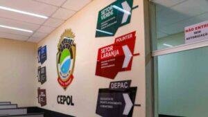 cepol carro