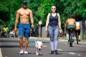 Amigos do Parque