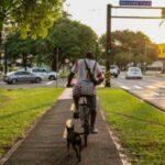 Você viu? Cãozinho fiel segue ciclista por 11 quilômetros e chama atenção na Afonso Pena