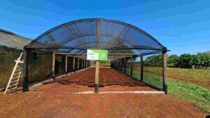 Horta