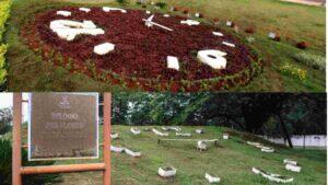 relógio das flores