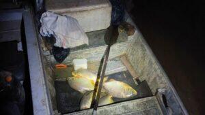 pesca