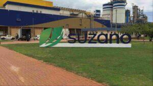 suzano