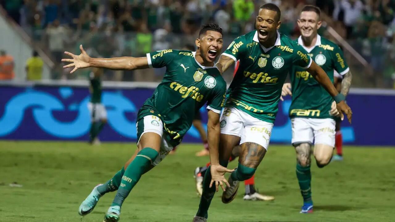 palmeiras