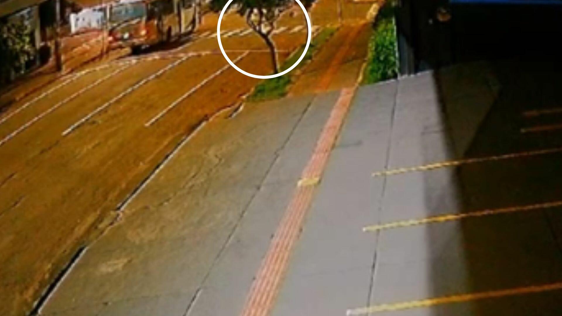 VÍDEO: Câmera flagra motociclista na contramão que morreu em acidente com ônibus