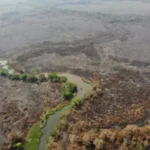 Rio Paraguai e Pantanal podem ter em 2024 a pior seca da história de Mato Grosso do Sul