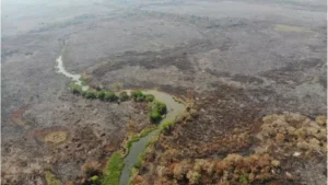 Rio Paraguai e Pantanal podem ter em 2024 a pior seca da história de Mato Grosso do Sul