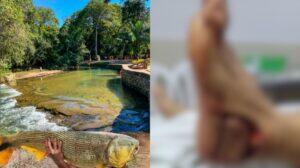 balneario mulher atacada por peixe dourado em bonito