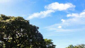 clima
