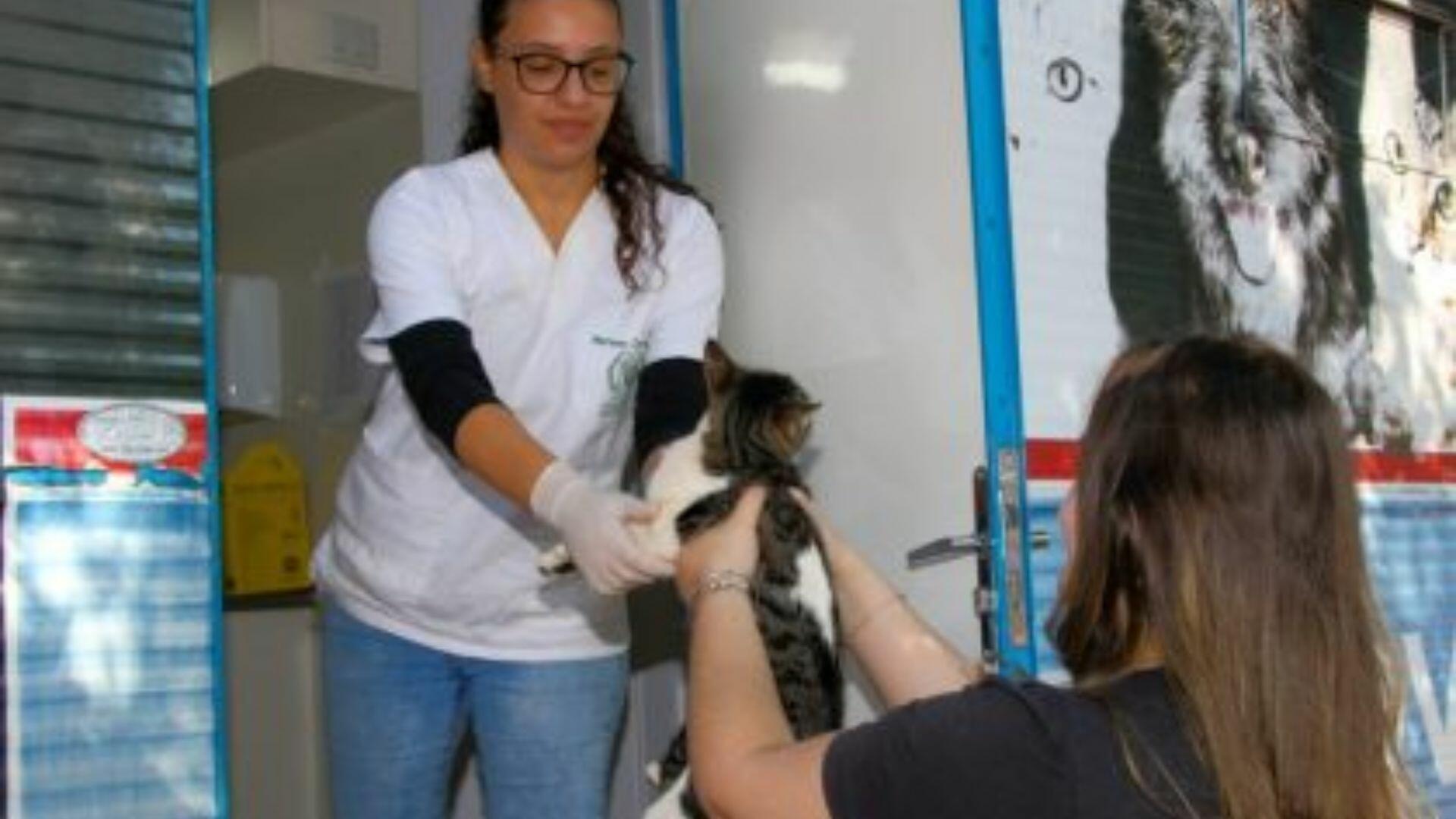 Castramóvel leva vacinação e castração gratuitas a cães e gatos em Três Lagoas