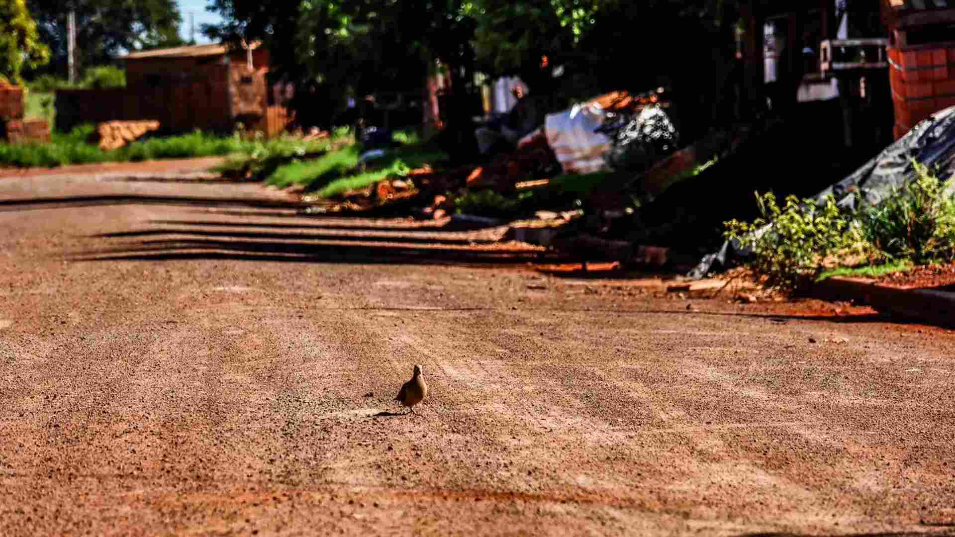 Em meio a escândalo de corrupção, Sidrolândia tem licitação de R$ 4,4 milhões para asfalto