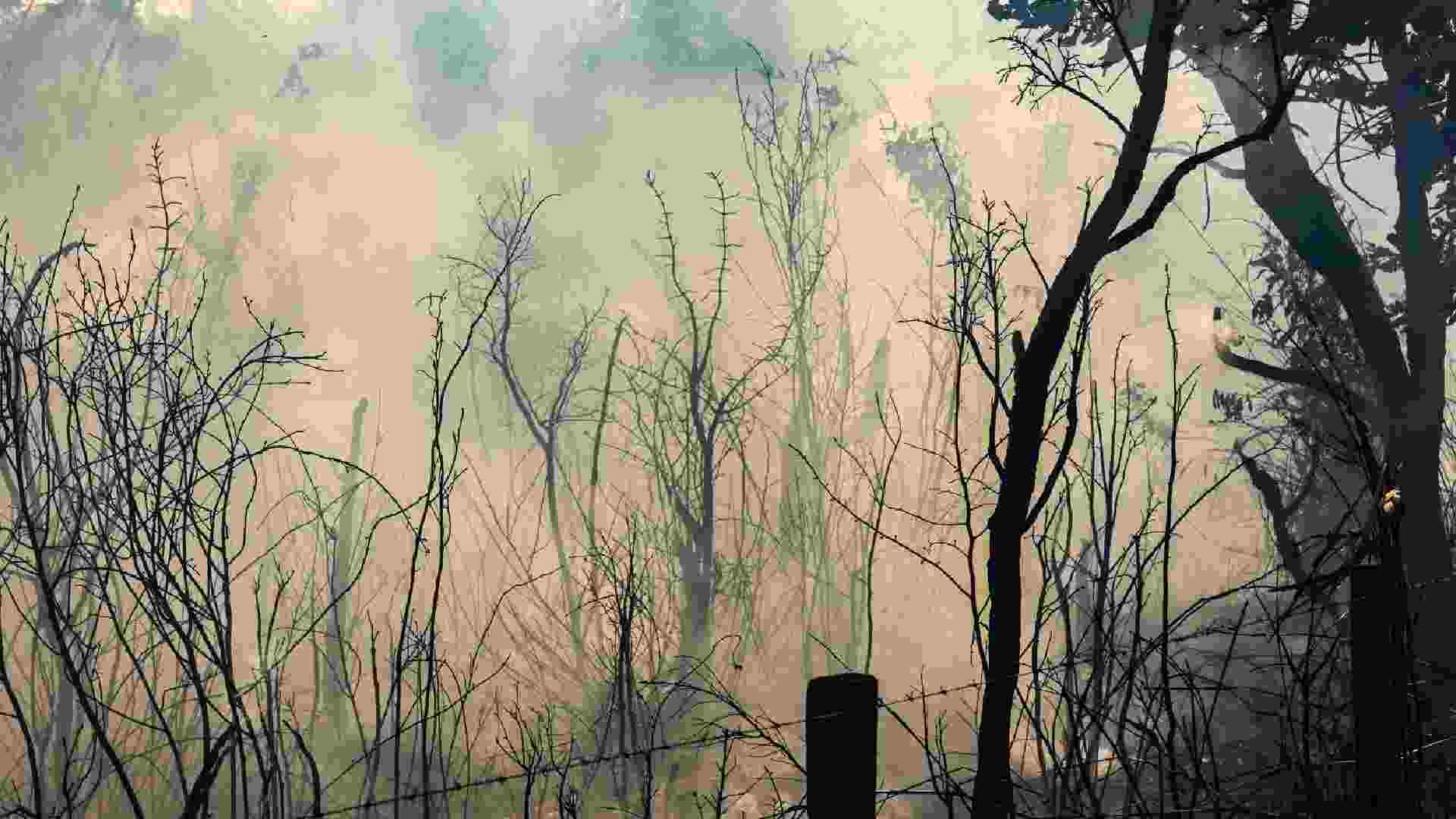 incêndios ms corumbá