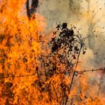 incêndio