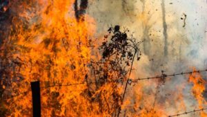 incêndio