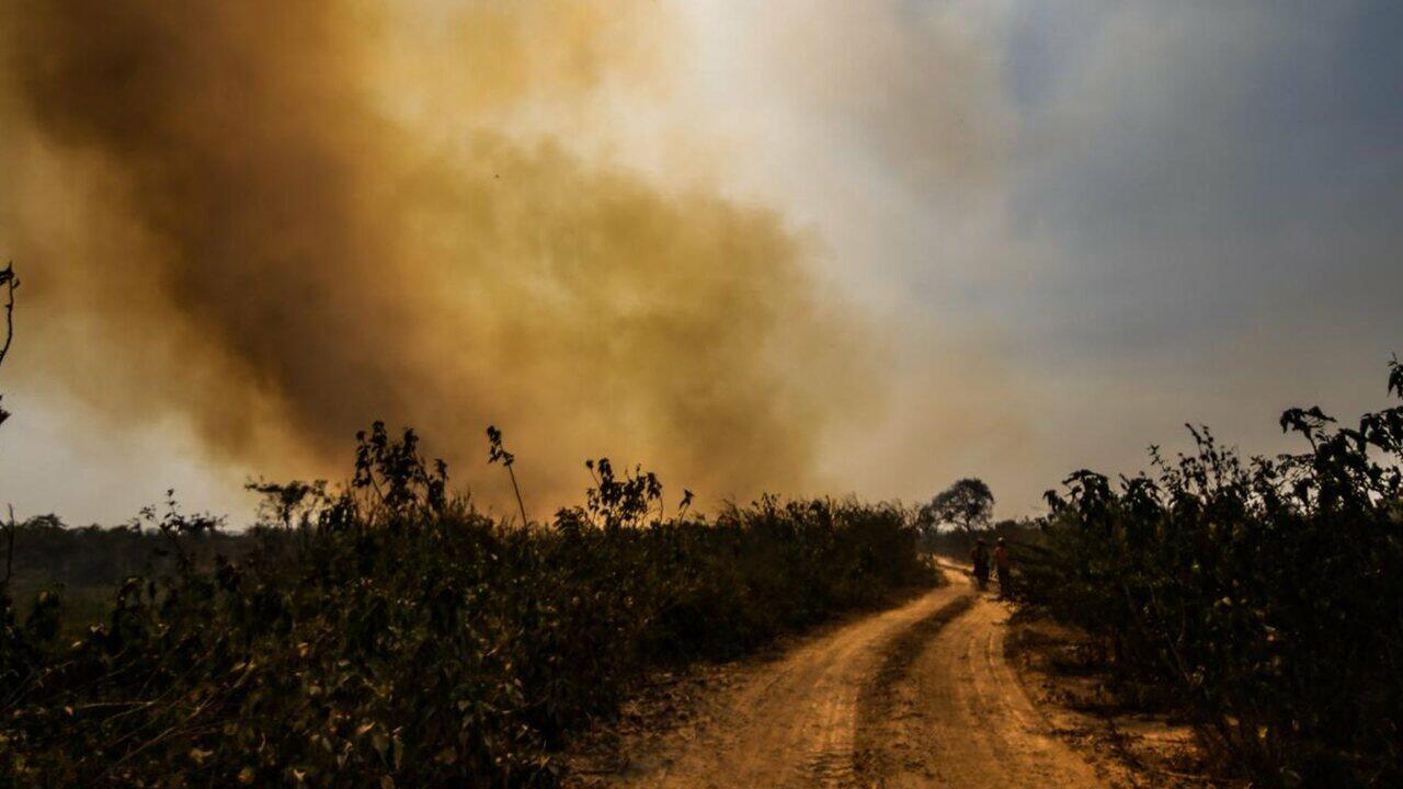pantanal