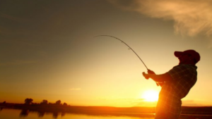 pesca projeto