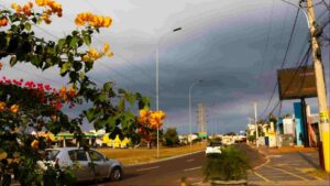 Julho começa com temperaturas geladas e mínima de 1°C em Mato Grosso do Sul