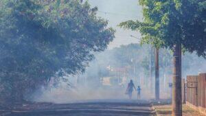incêndio (Nathalia Alcântara, Jornal Midiamax)