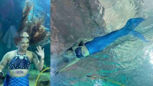 sereia campo grande bioparque pantanal 2