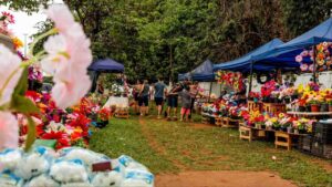 Há 30 anos, irmãs fazem de ‘dia fúnebre’ faturamento de R$ 8 mil vendendo flores no Cruzeiro