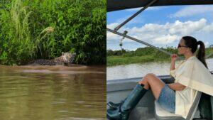 onça rafa kalimann pantanal