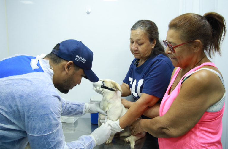 Cachorros e gatos são vacinados contra a raiva nas UPAs e CRSs de Campo ...