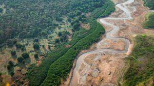 amazonas