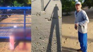 corpo encontrado onça