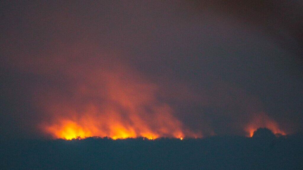 pantanal incendio fogo corumba