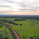 no pantanal das onças de quem é o grito que ninguem está ouvindo