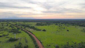 no pantanal das onças de quem é o grito que ninguem está ouvindo