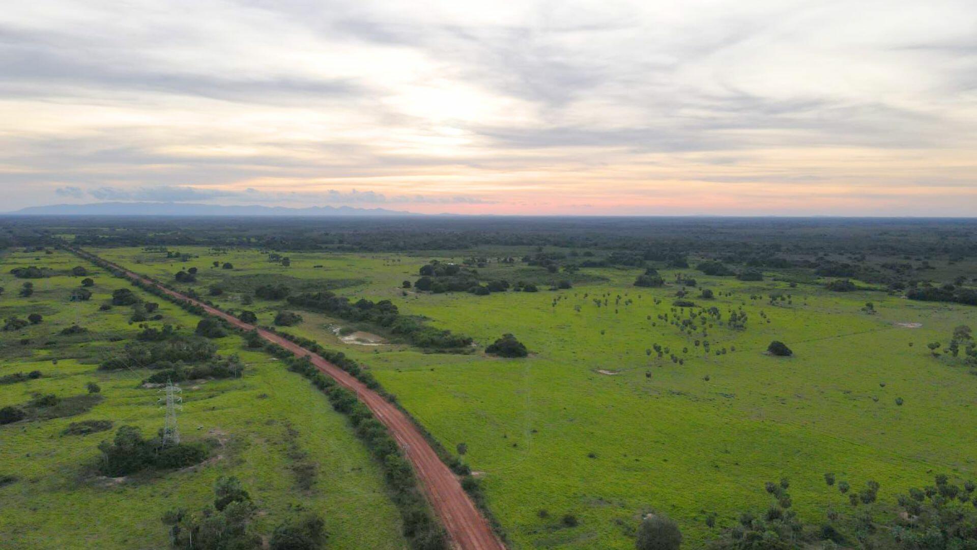 no pantanal das onças de quem é o grito que ninguem está ouvindo