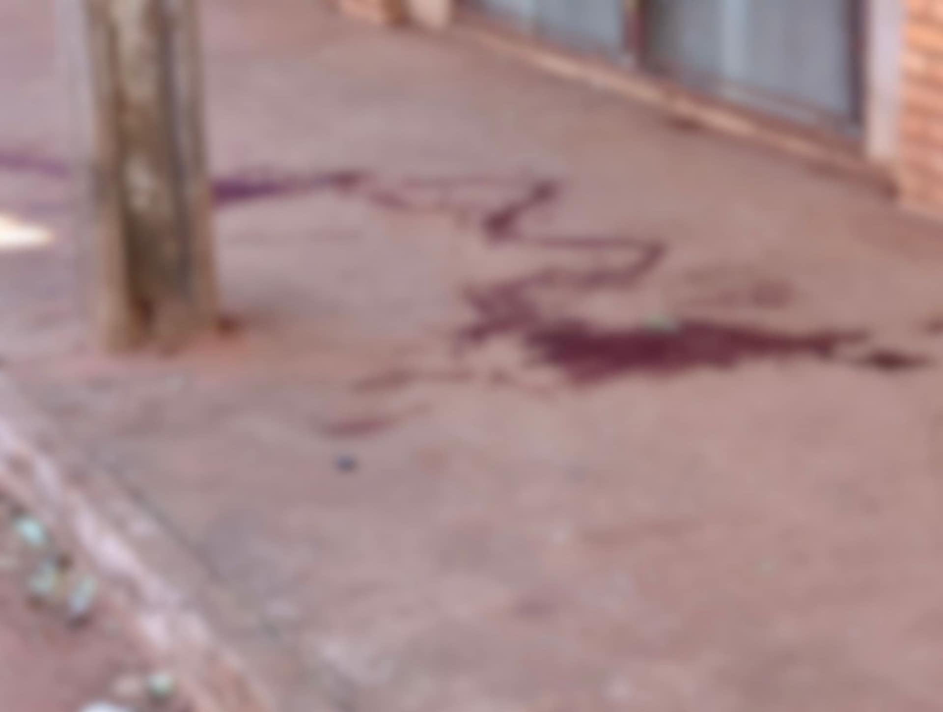 manchas de sangue