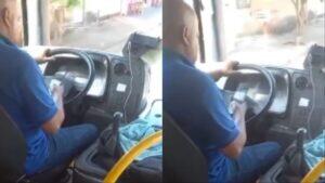 ônibus