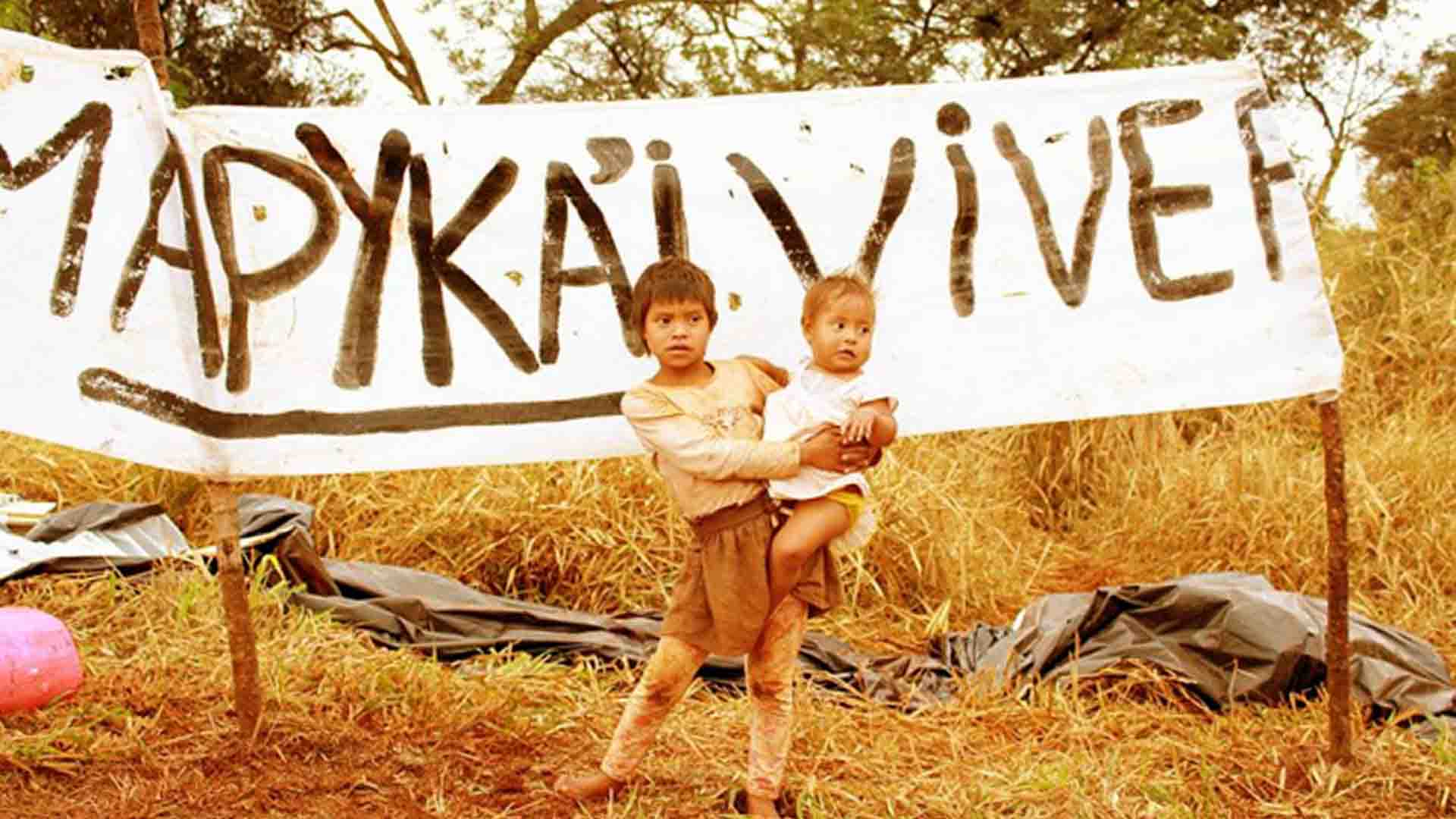 Terra Indígena Apyka'i teve estudos iniciados em 2016, dias antes de indígenas serem retirados de fazenda (Rafael de Abreu, Instituto Socioambiental, Arquivo)