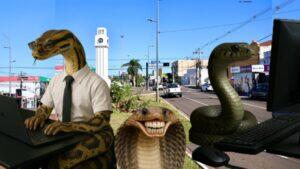 campo grande cidade de cobras