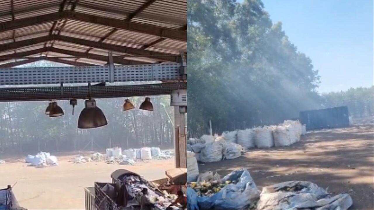 fumaça