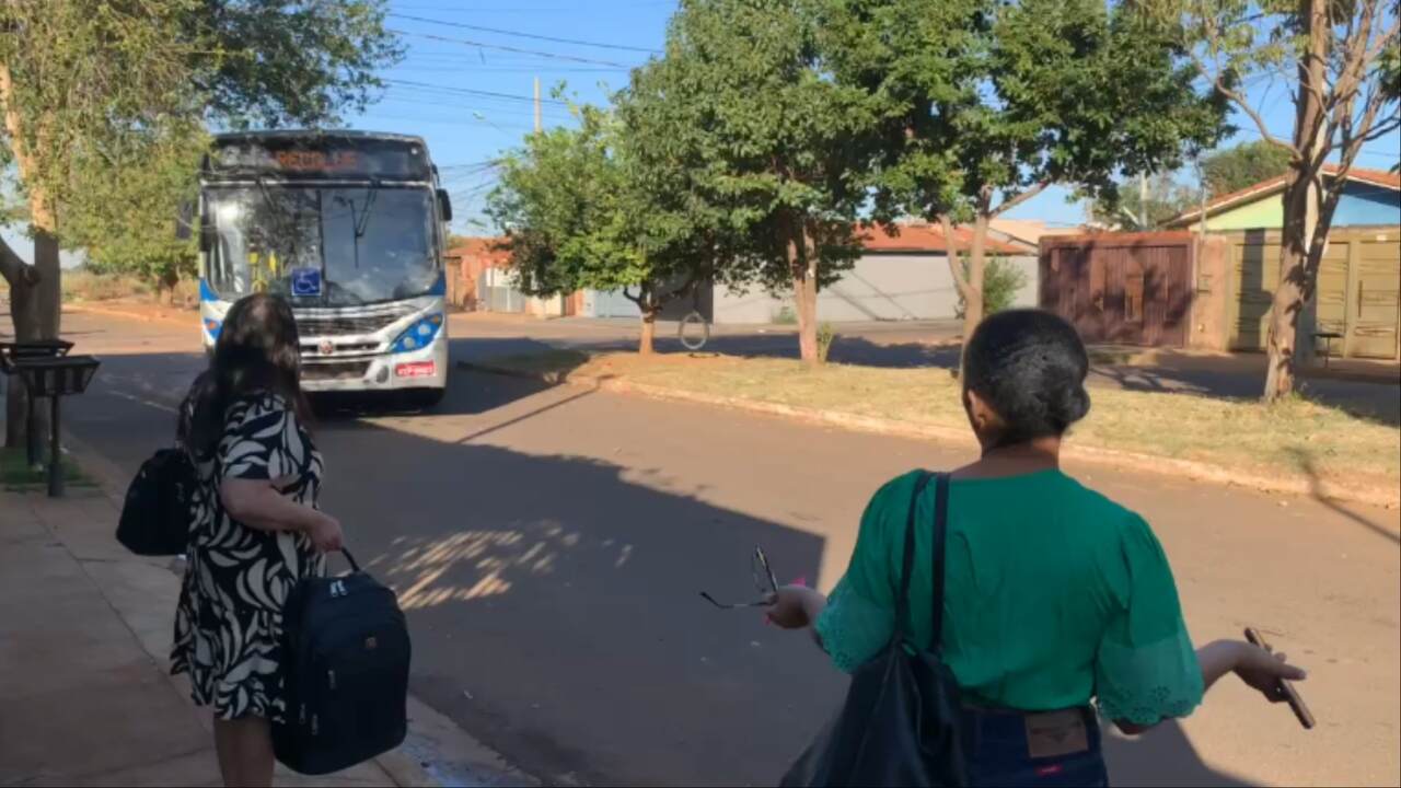ônibus caioba