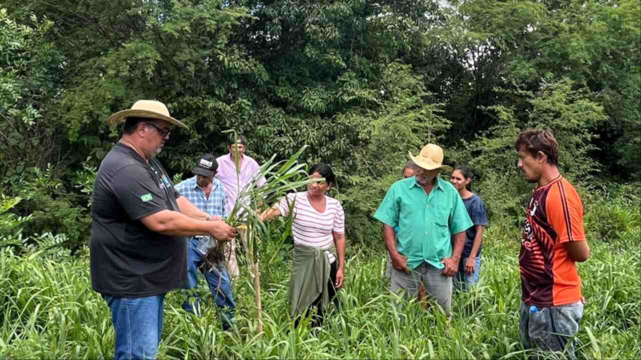 ecoa pantanal