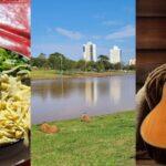 RESUMO DA CULTURA DE CAMPO GRANDE MS