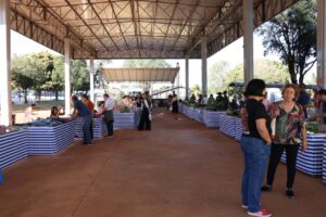 Mercado Escola: projeto cria ‘feira’ com produtos da agricultura familiar na UFMS