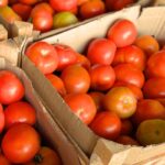 Ceasa: preço de tomate e alface-crespa apresenta queda e deixa salada mais em conta