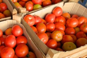 Ceasa: preço de tomate e alface-crespa apresenta queda e deixa salada mais em conta